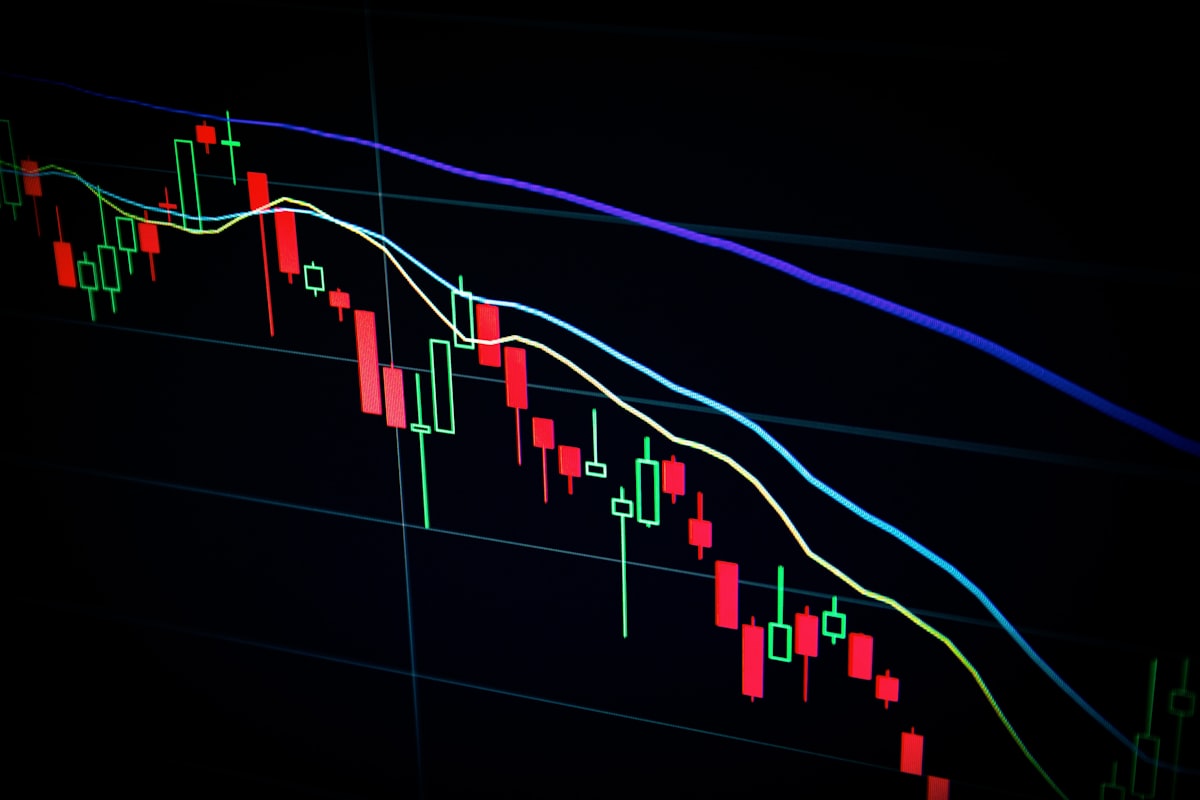 Cash Flow & Financial Control